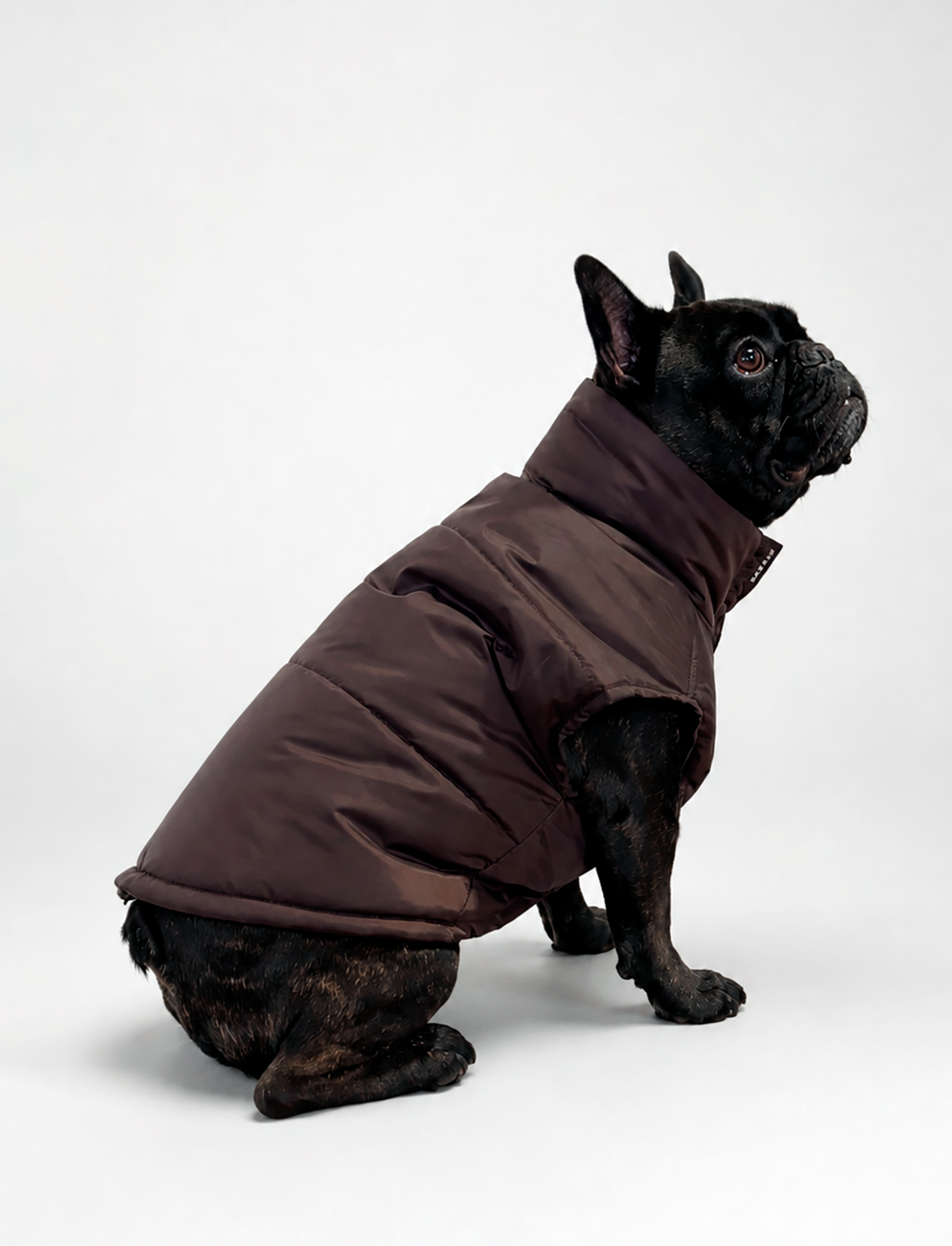 Chaqueta Puffer de Invierno – Chocolate