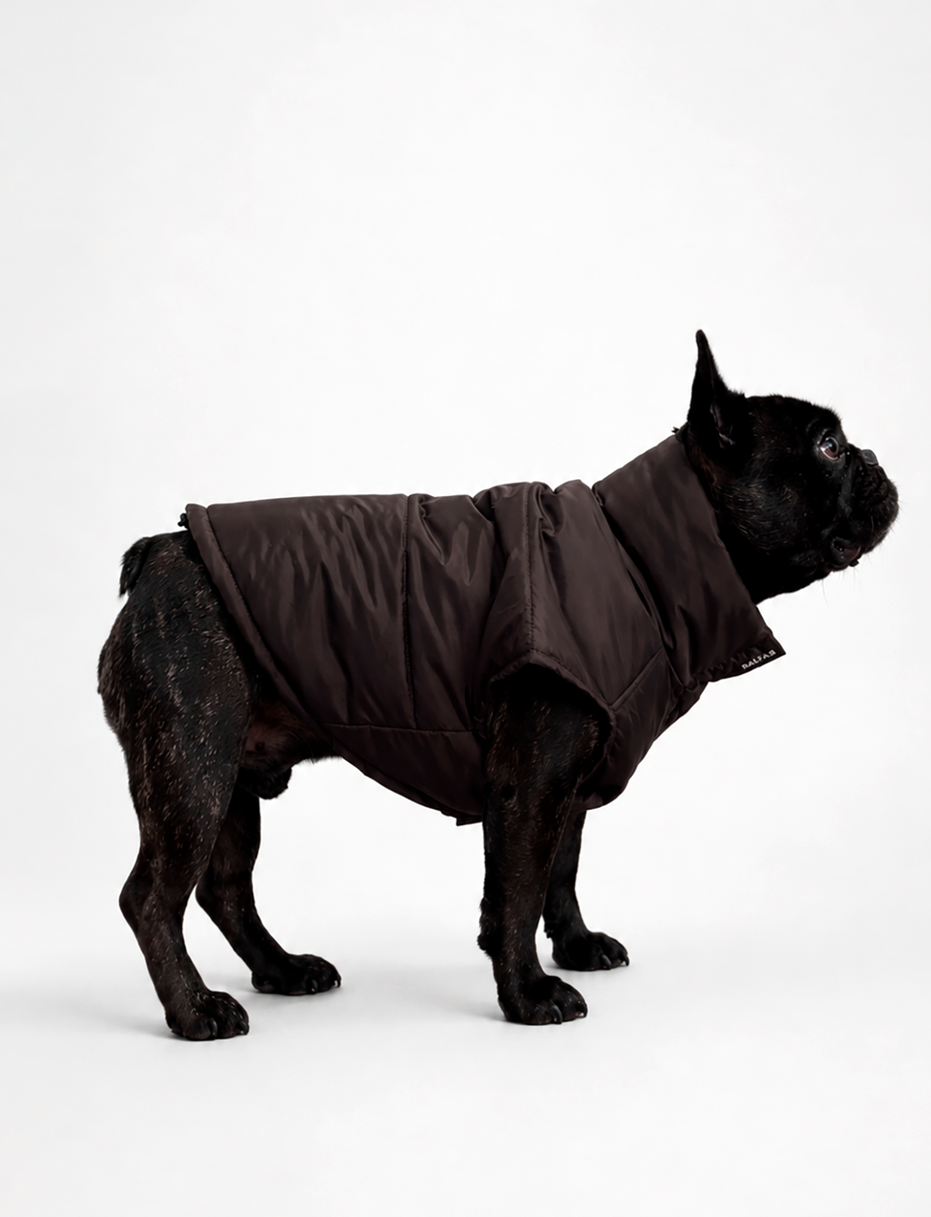 Chaqueta Puffer de Invierno – Chocolate