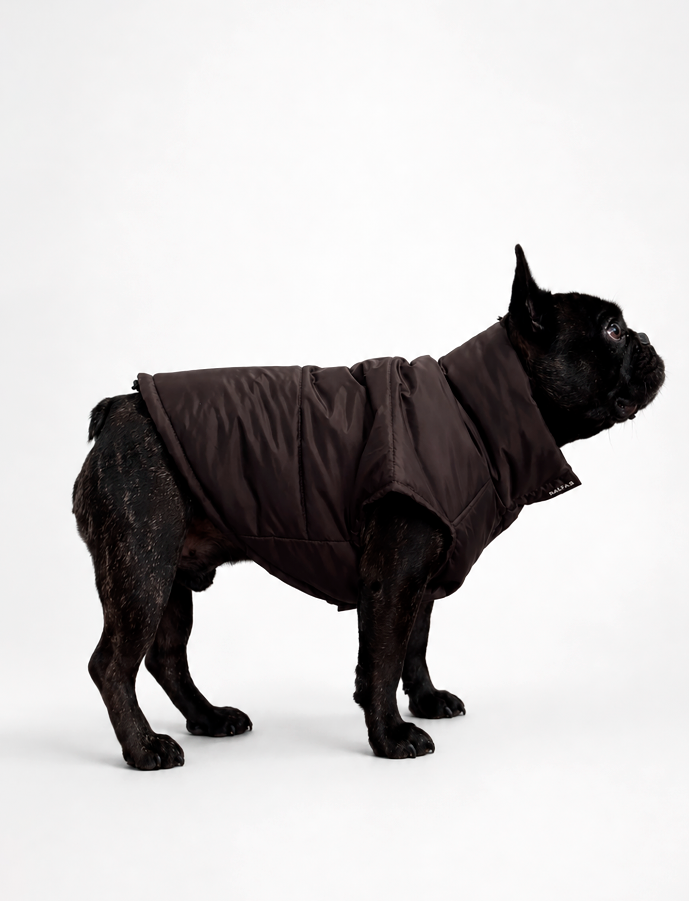 Chaqueta Puffer de Invierno – Chocolate