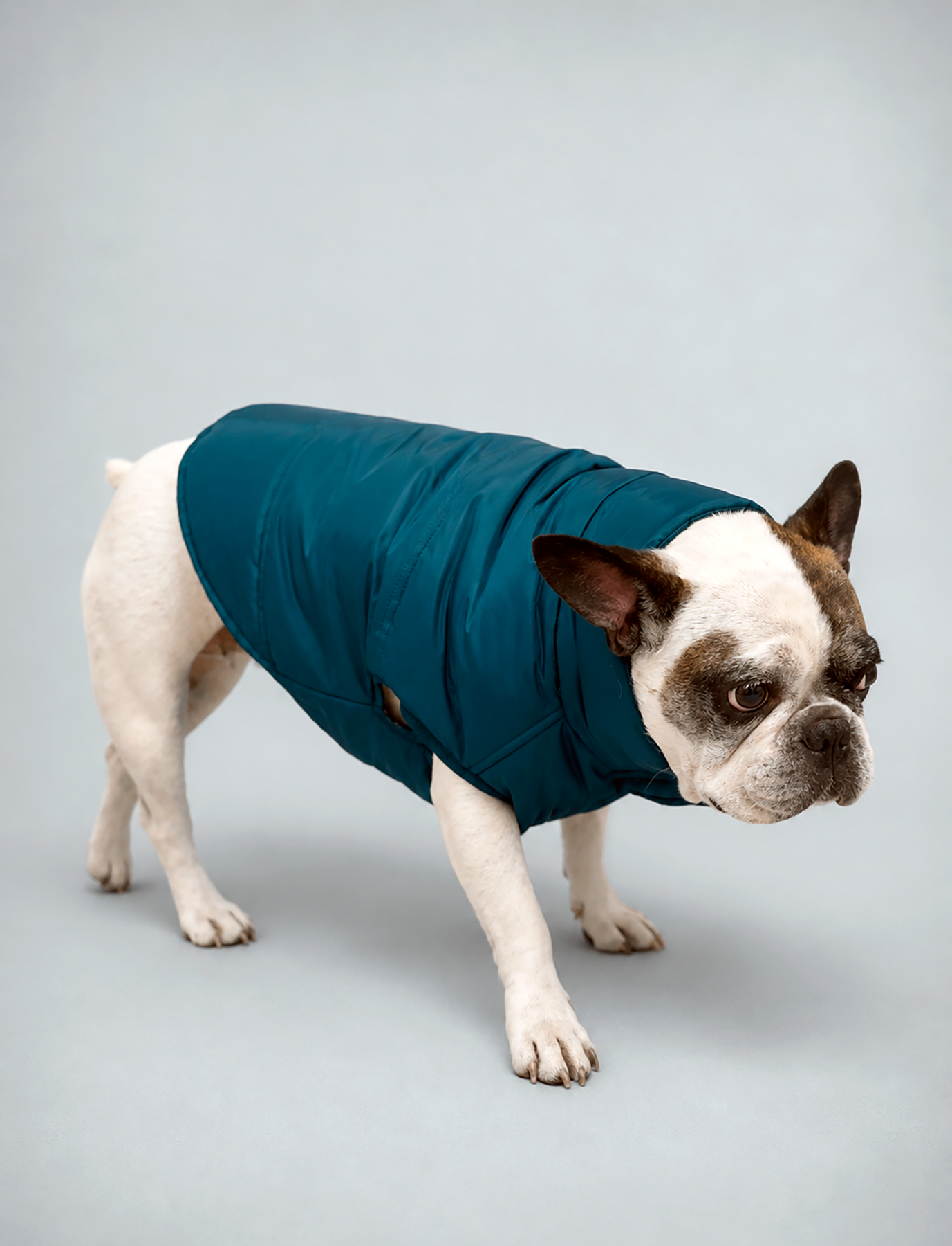 Chaqueta Puffer Verde