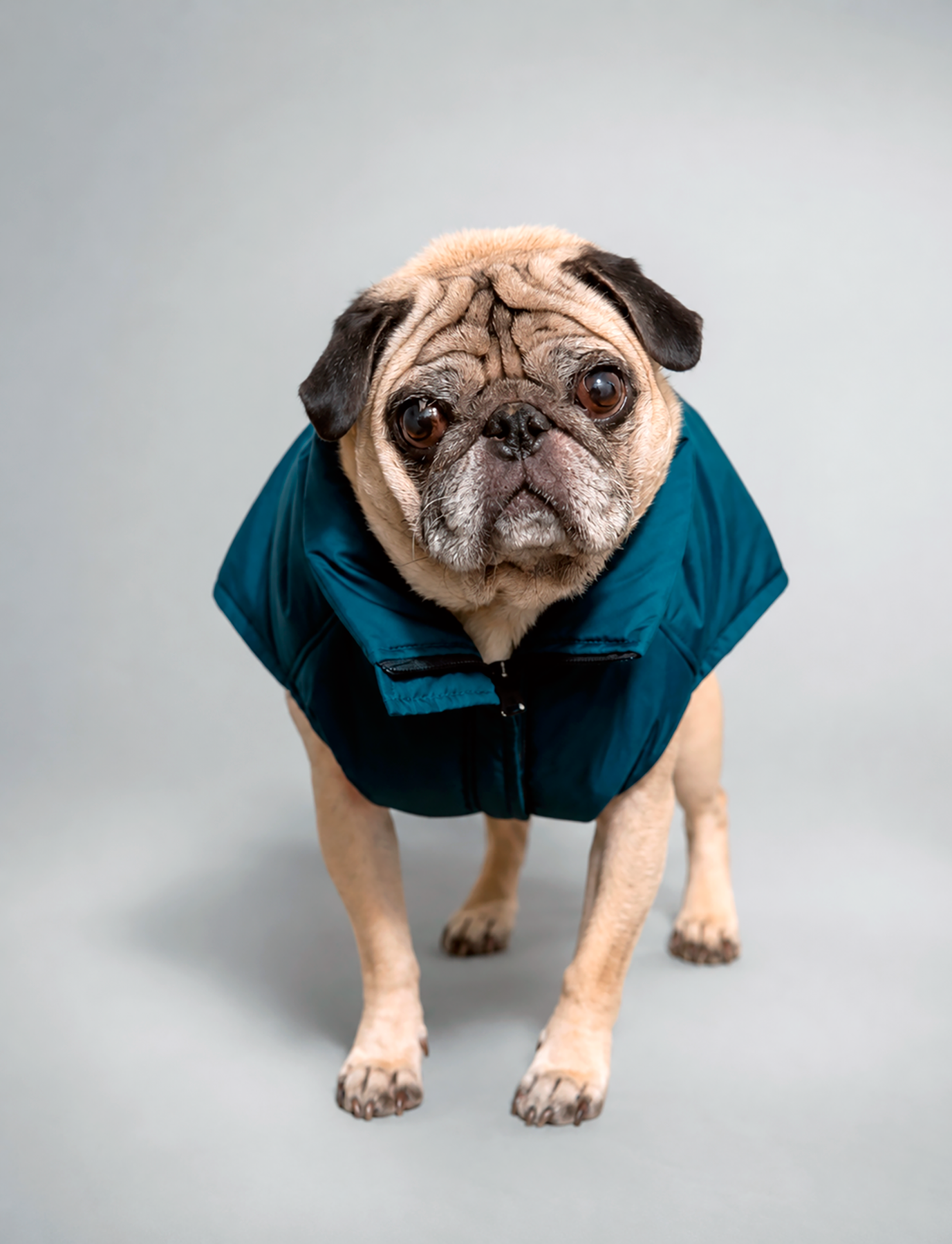 Chaqueta Puffer Verde