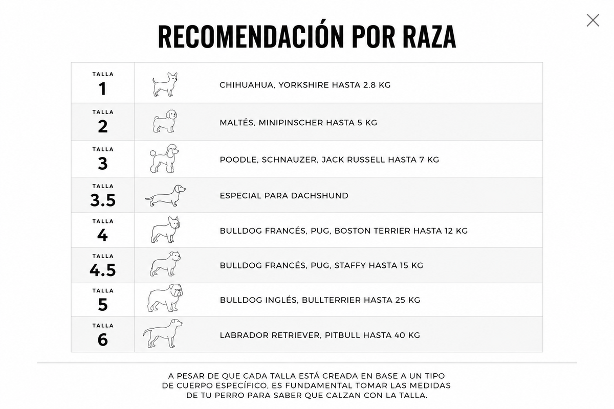 Recomendación de talla