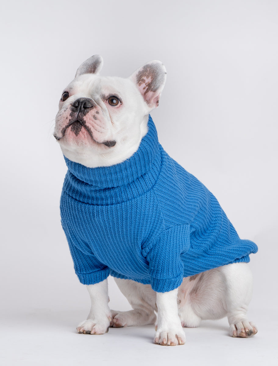 Suéter Azul Rey | COLECCIÓN OTOÑO