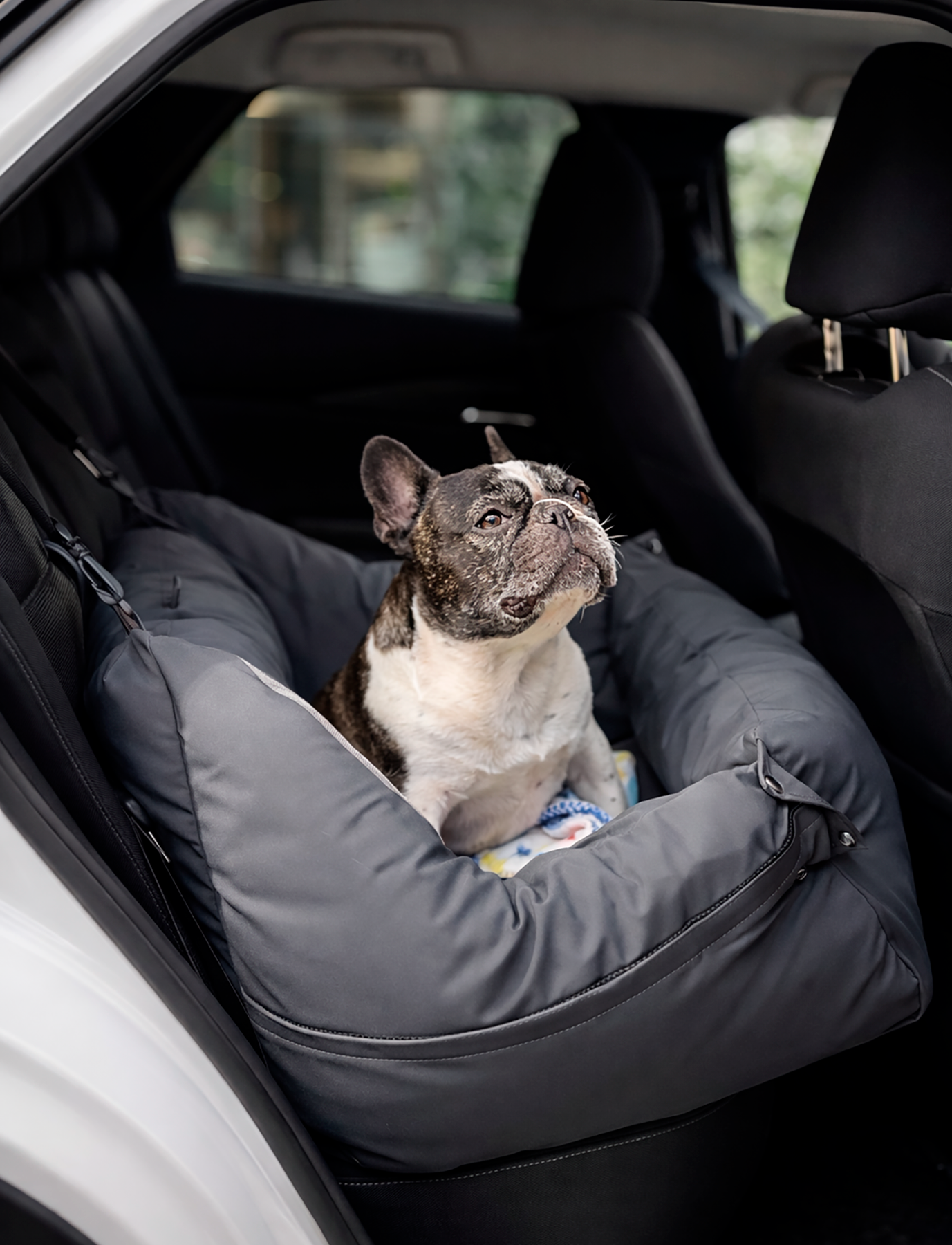 Cama para auto gris gráfito