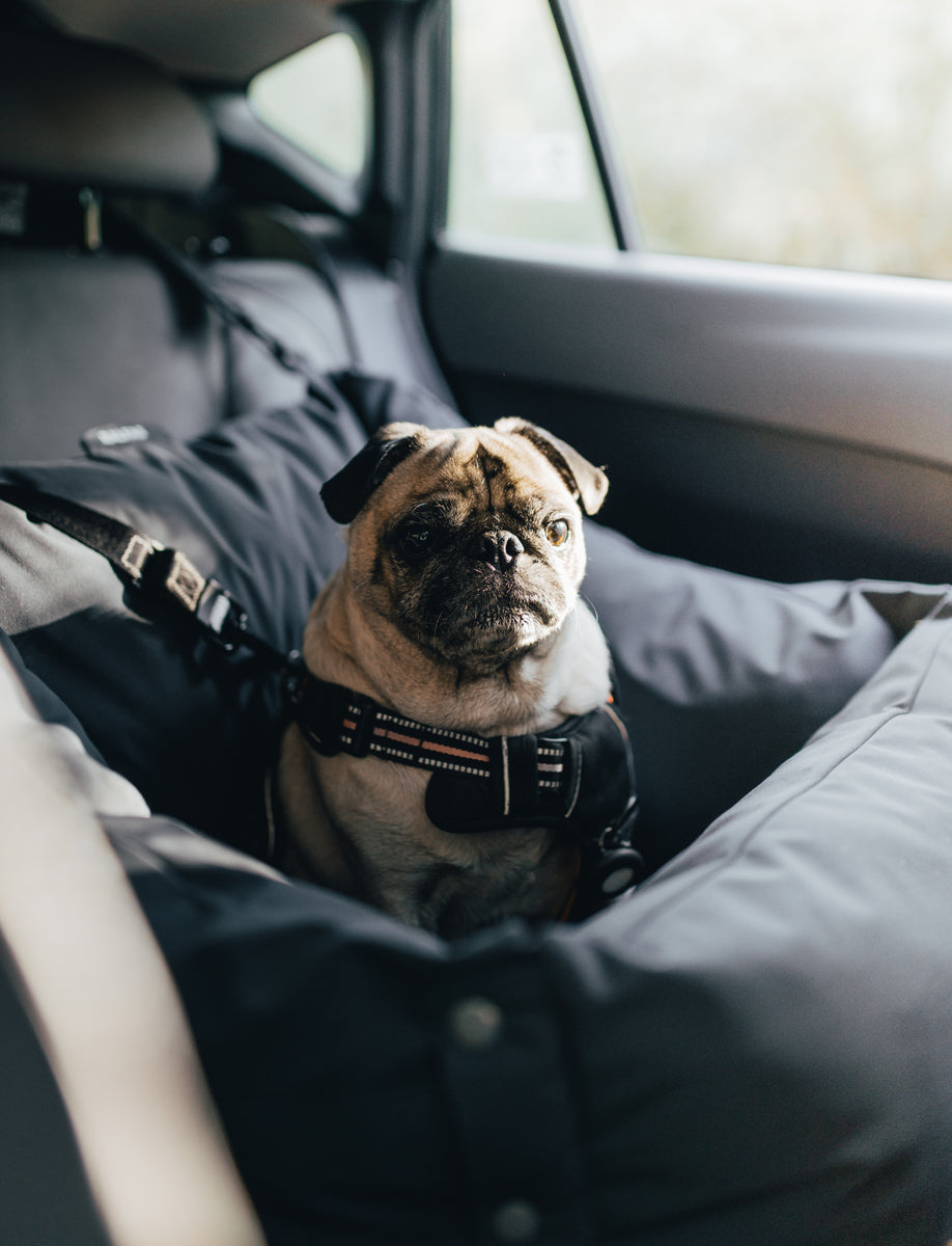 Cama para auto gris gráfito