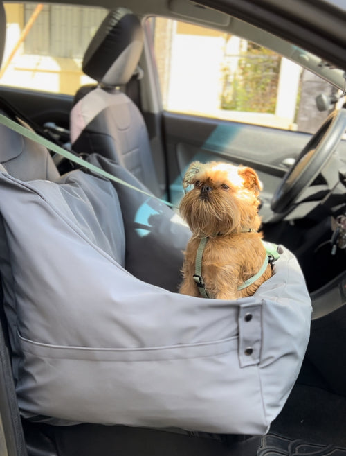 Cama para auto gris gráfito