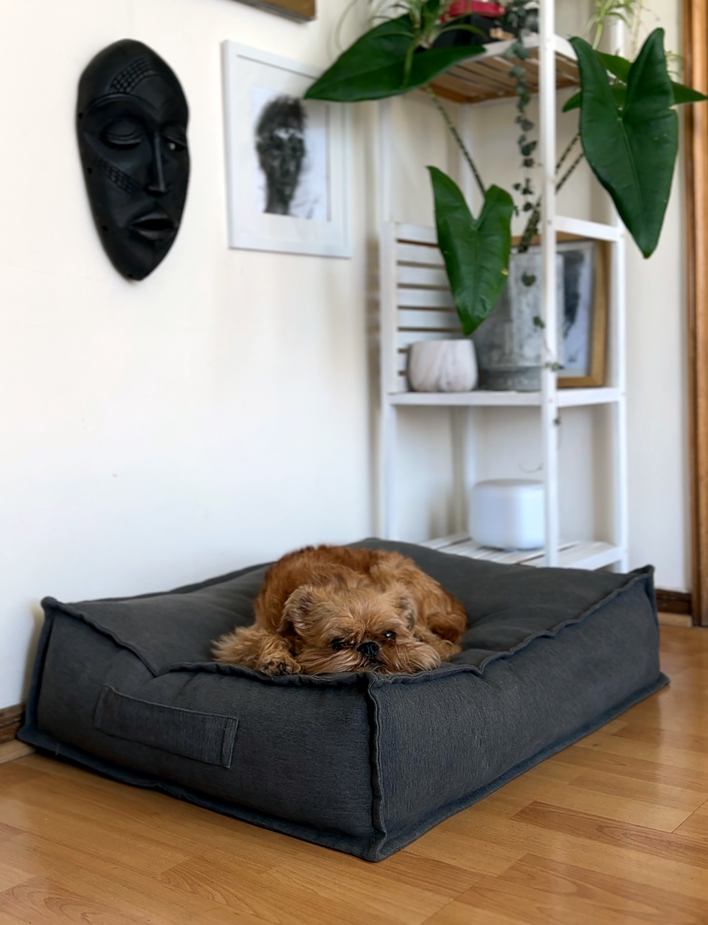 Cama funda desmontable Gris Grafito