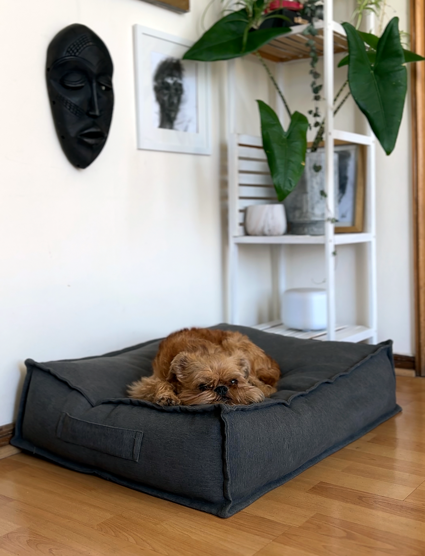 Cama funda desmontable Gris Grafito