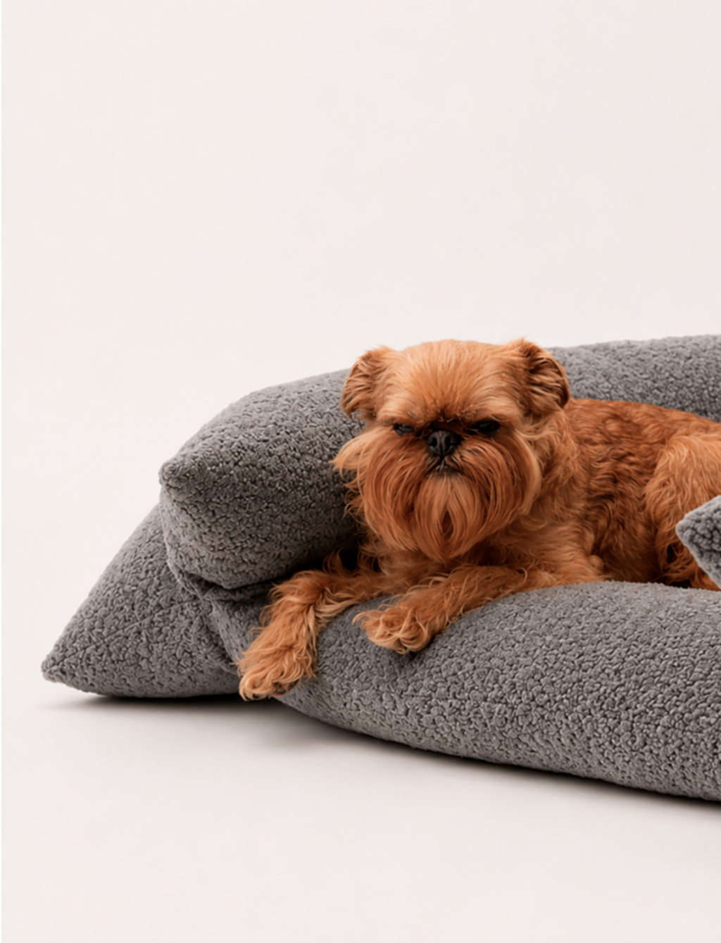 Cama Yoko Gris M