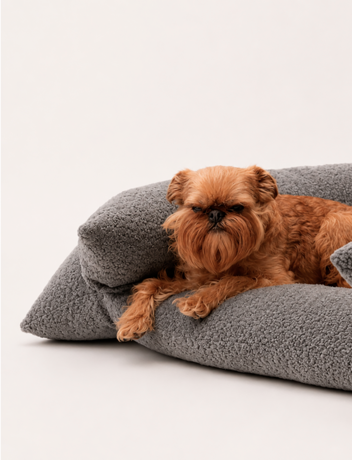 Cama Yoko Gris M