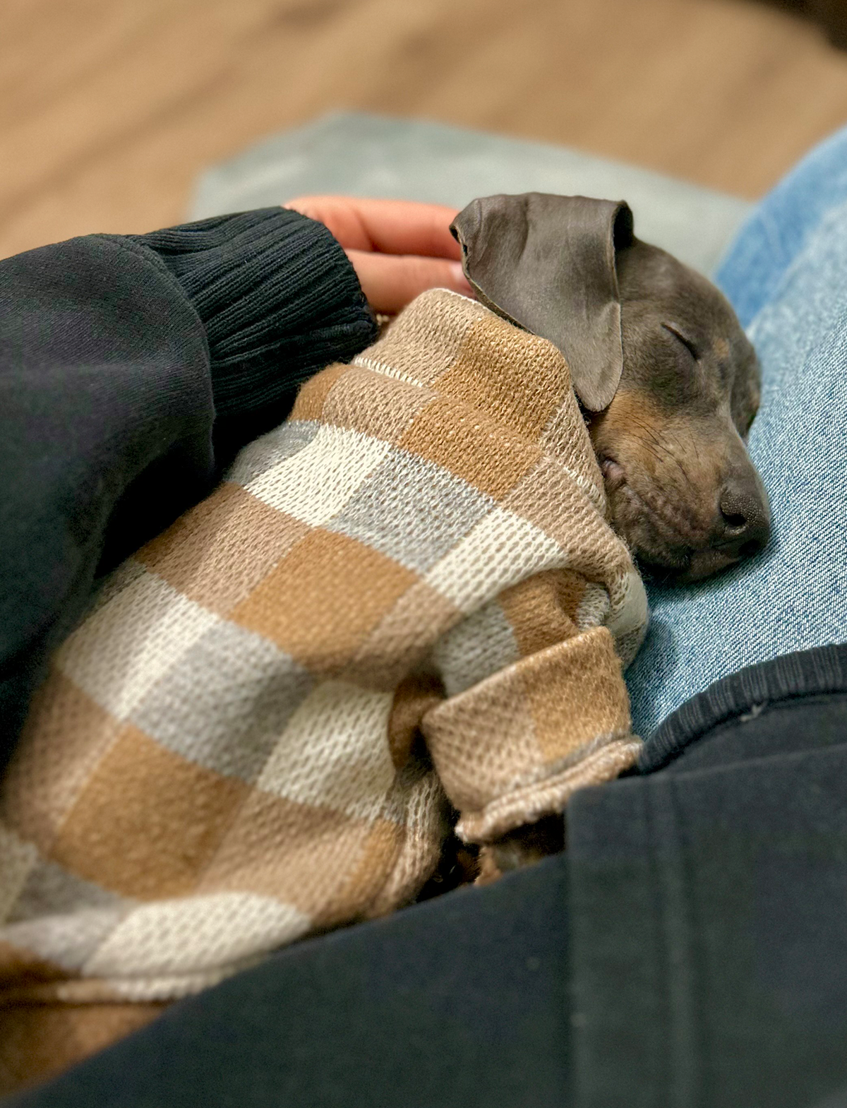 Chaleco de lanilla gris y café