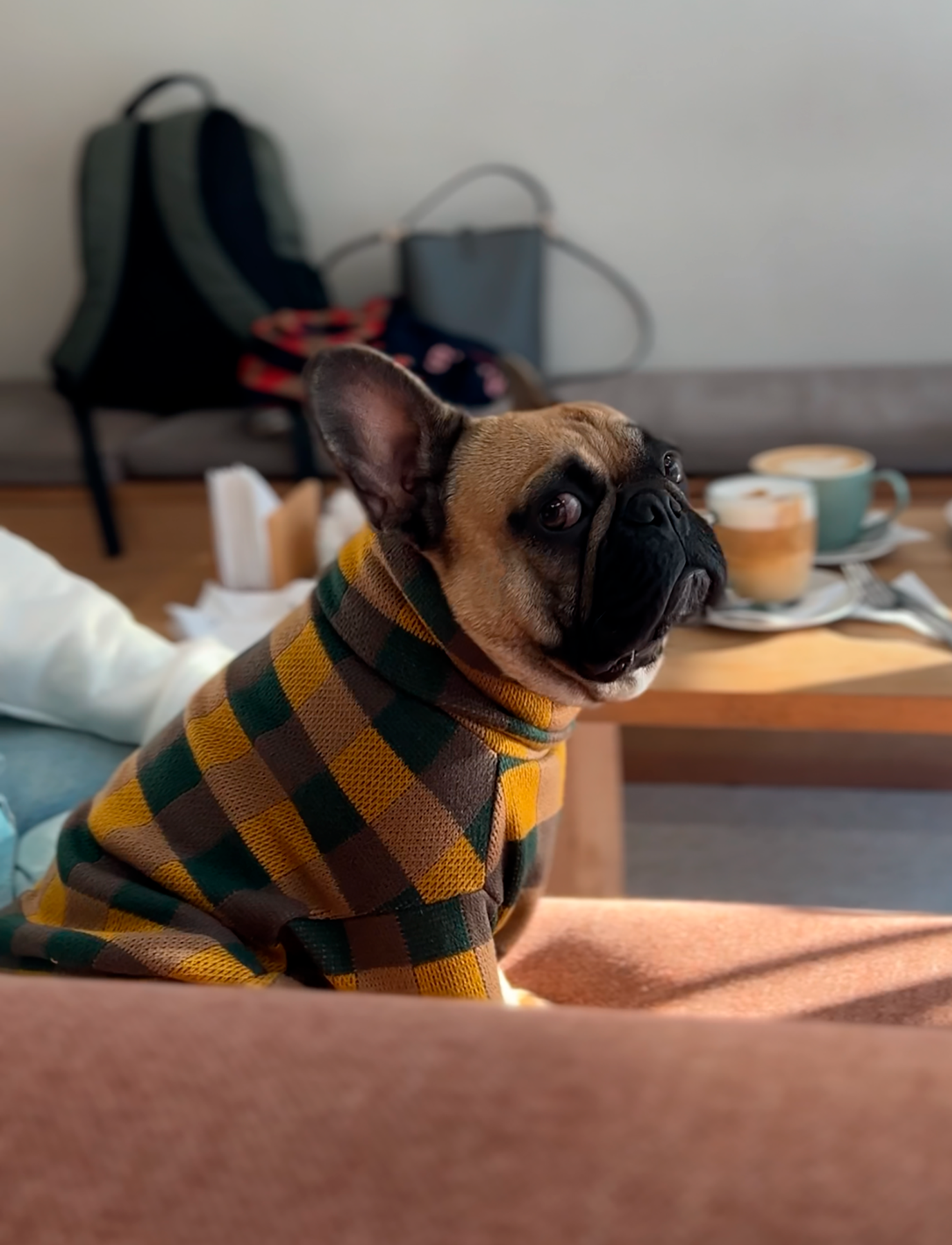 Chaleco de lanilla amarillo, verde y café
