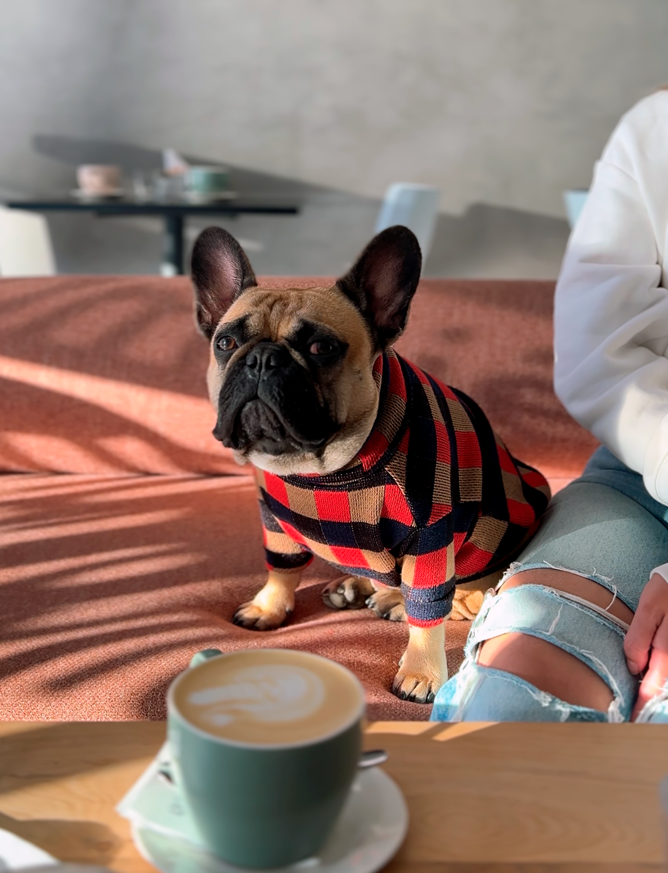 Chaleco de lanilla rojo, azul y café
