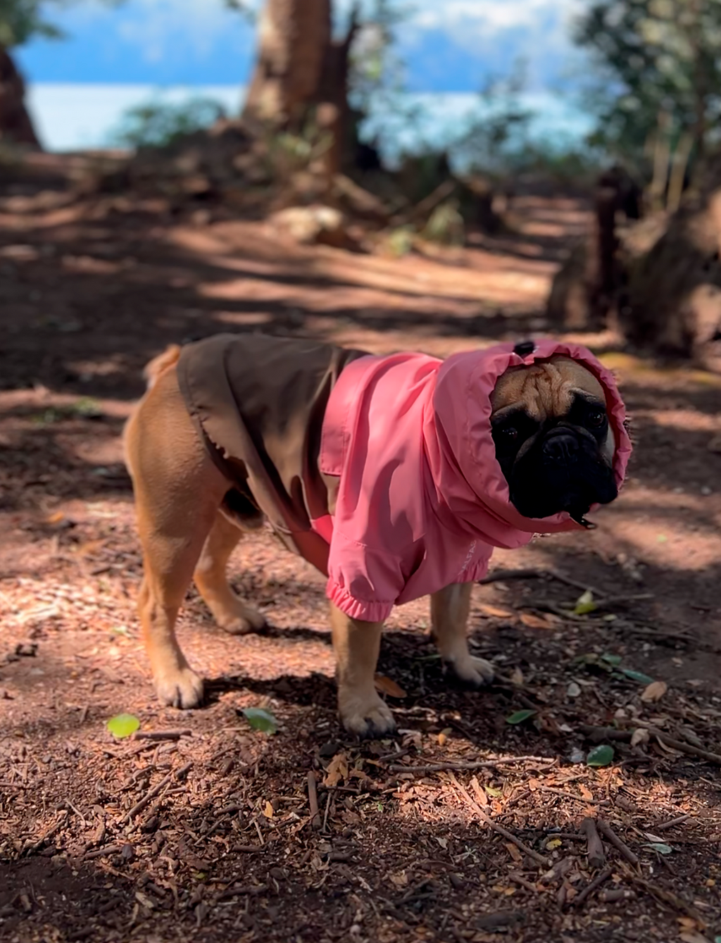 Chaqueta impermeable rosa y café