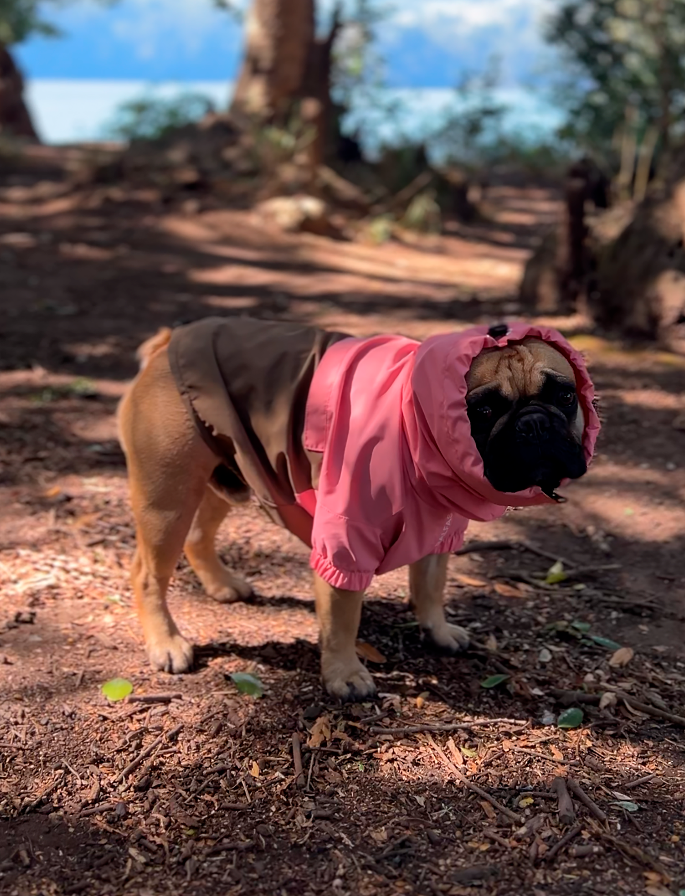 Chaqueta impermeable rosa y café