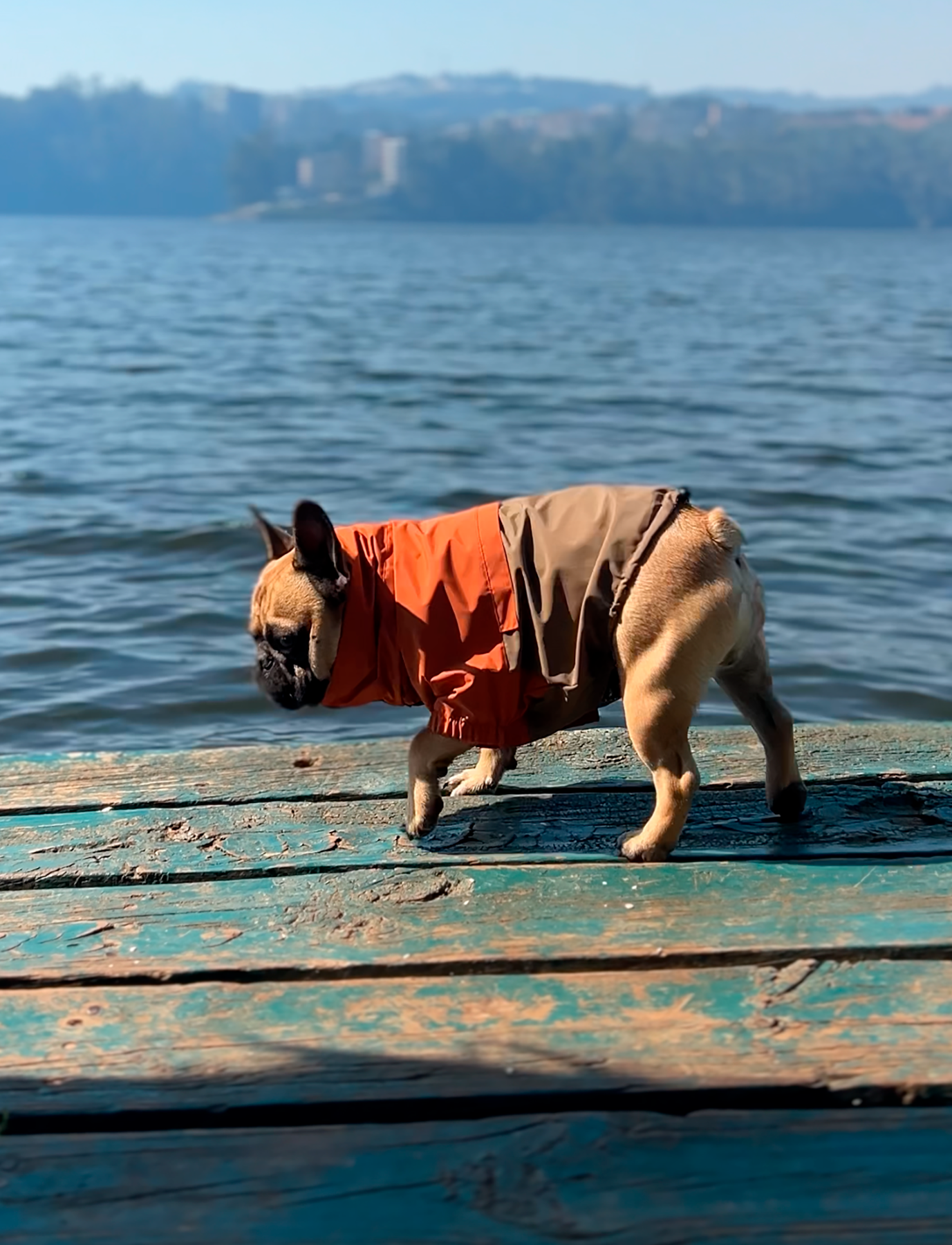 Chaqueta impermeable terracota y café