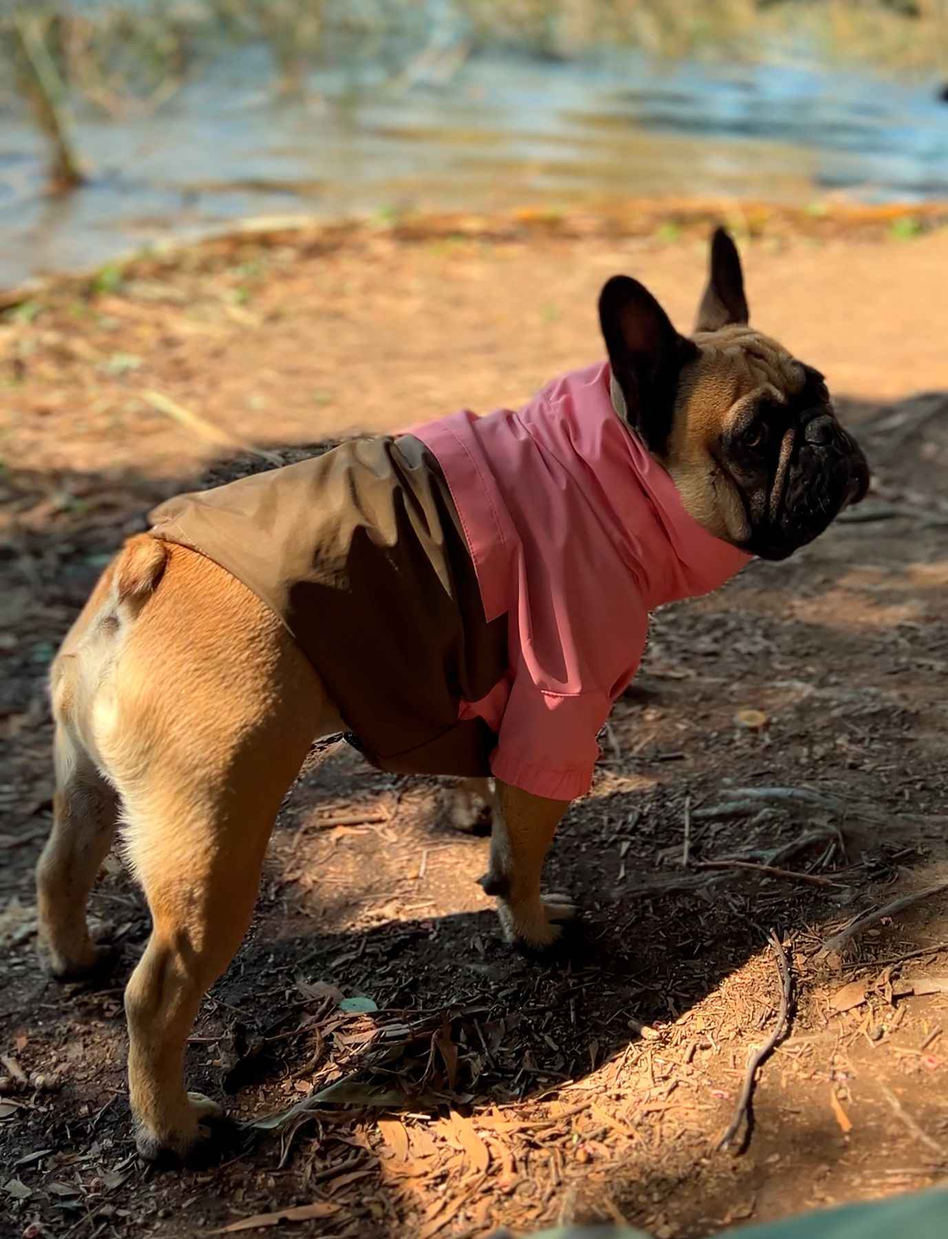 Chaqueta impermeable rosa y café