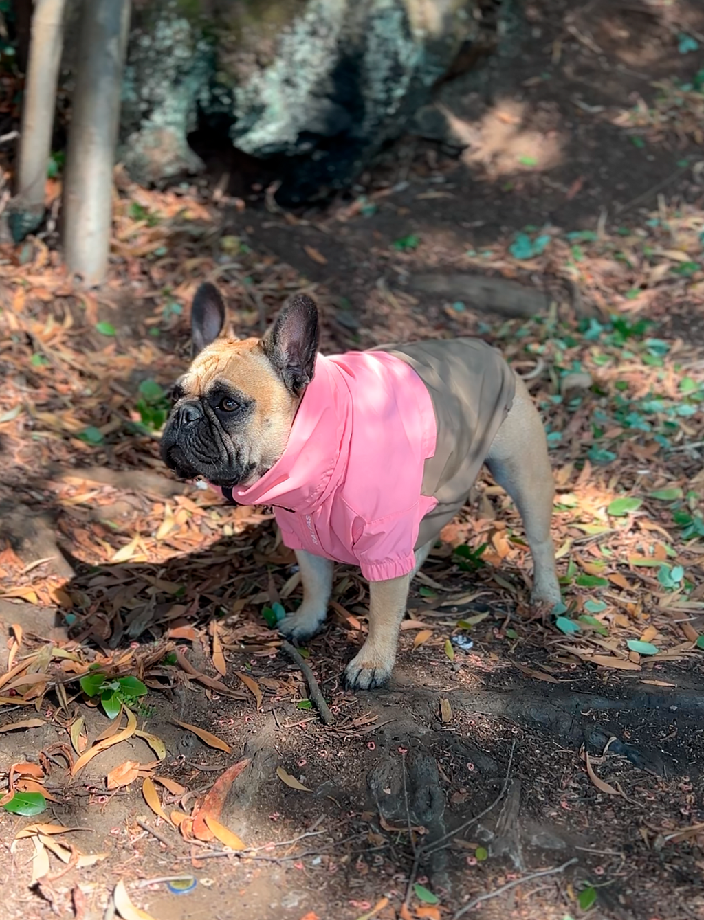 Chaqueta impermeable rosa y café
