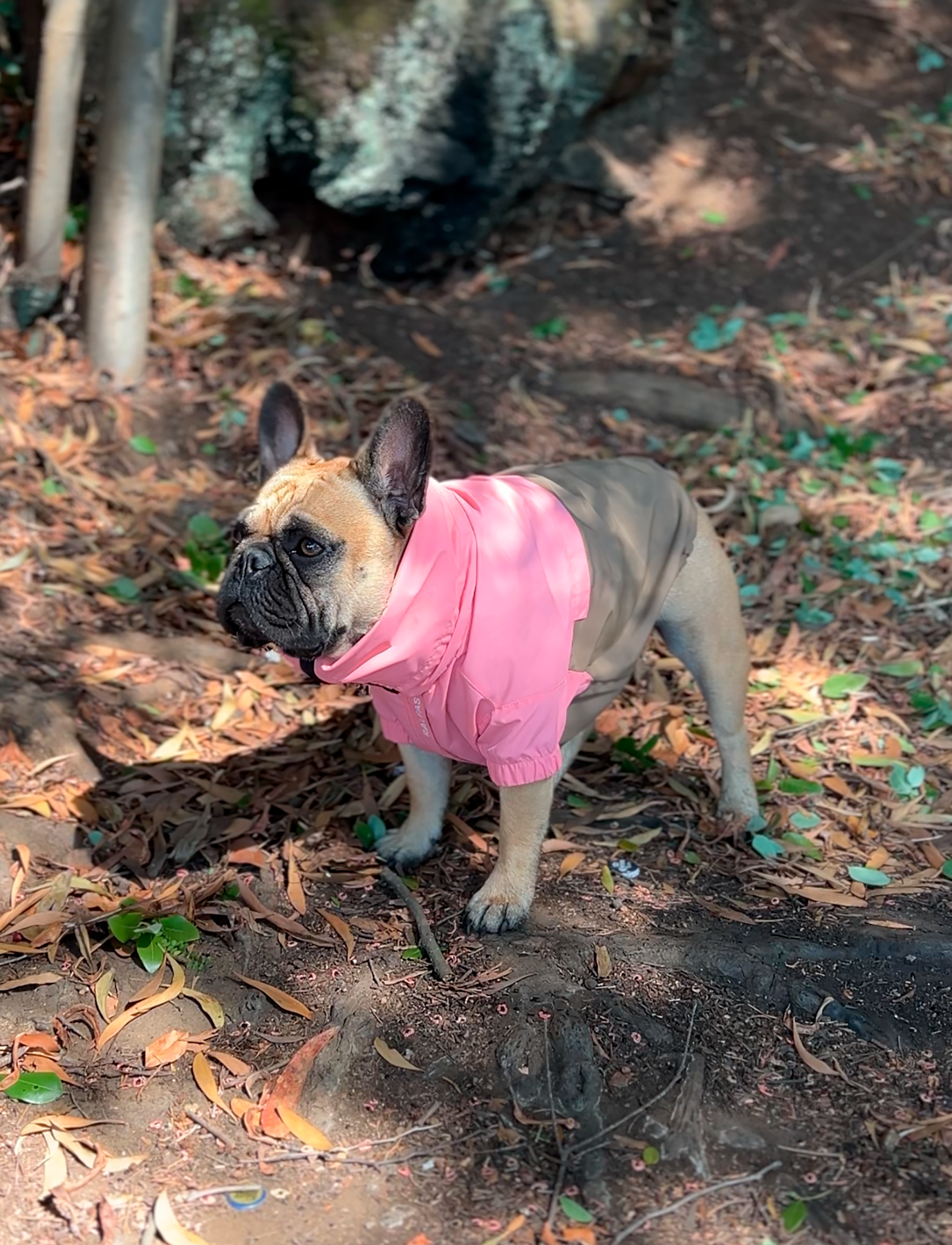 Chaqueta impermeable rosa y café
