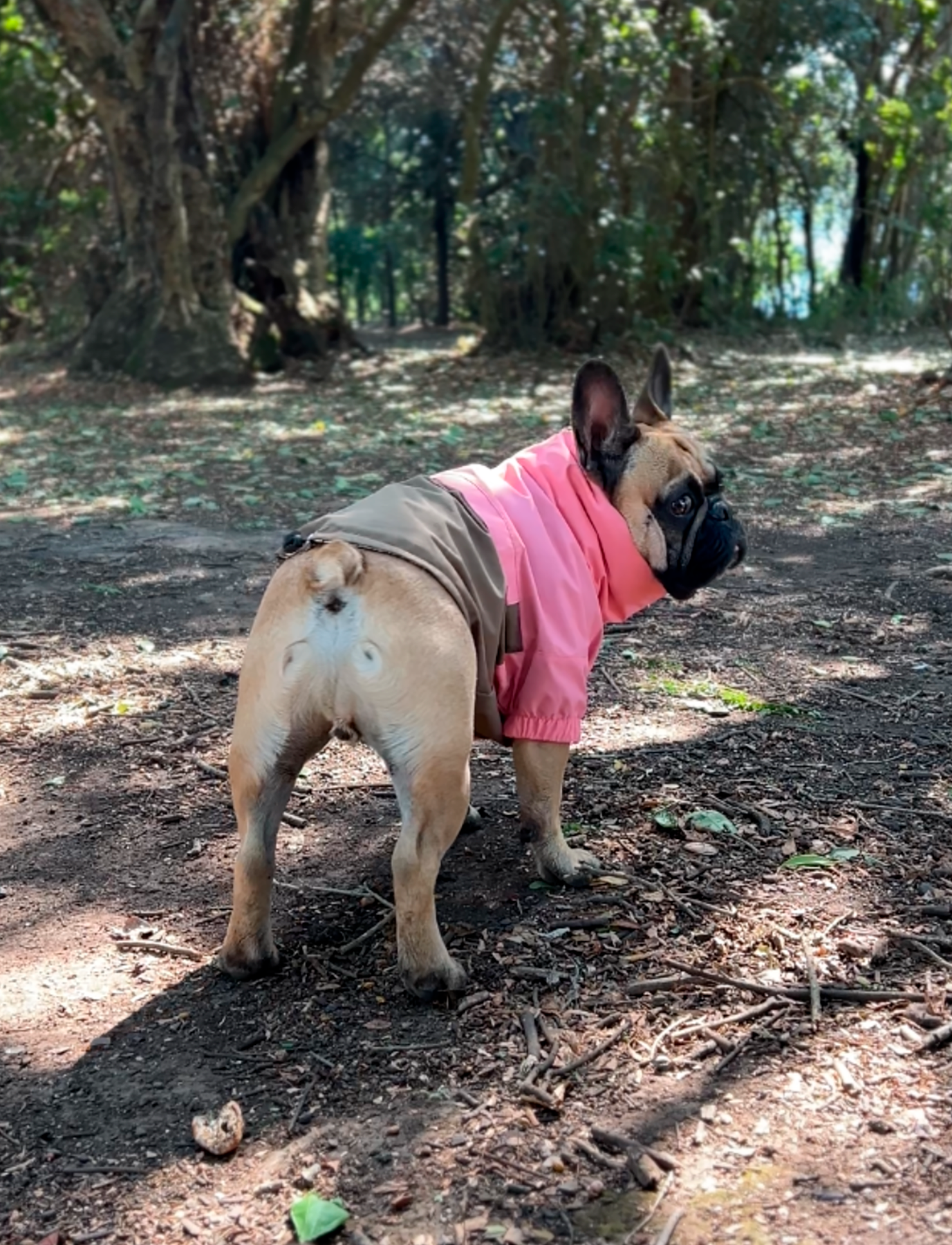 Chaqueta impermeable rosa y café