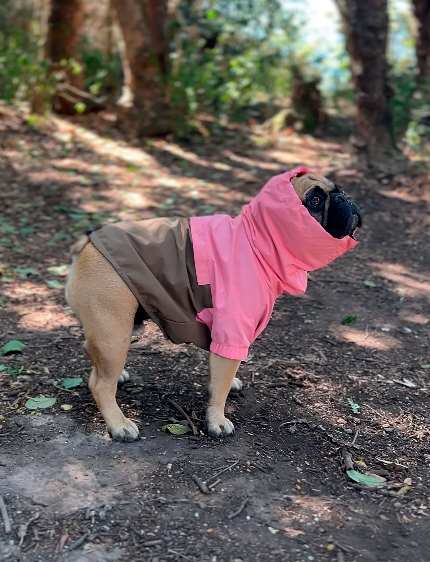 Chaqueta impermeable rosa y café