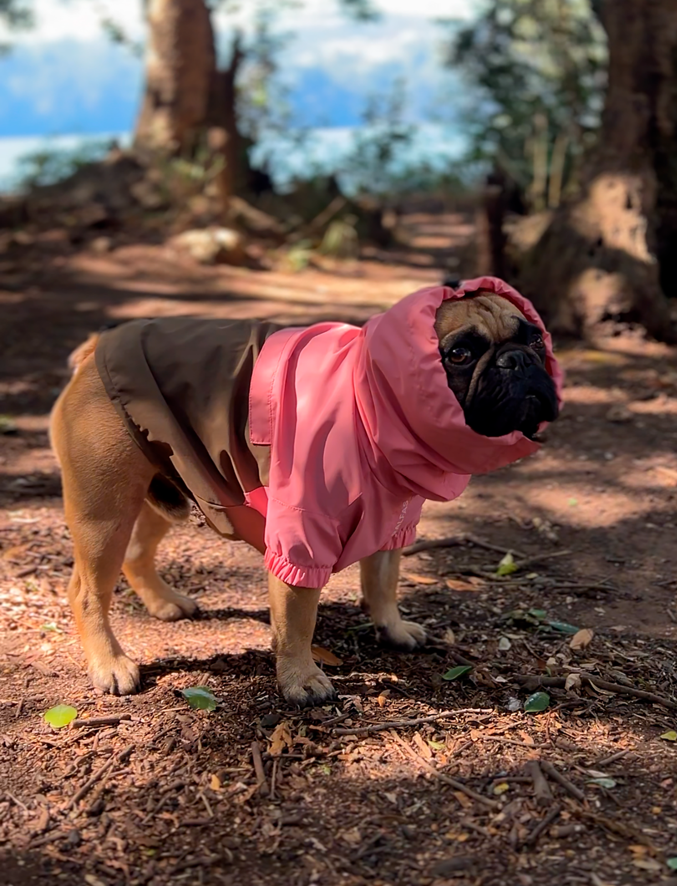Chaqueta impermeable rosa y café