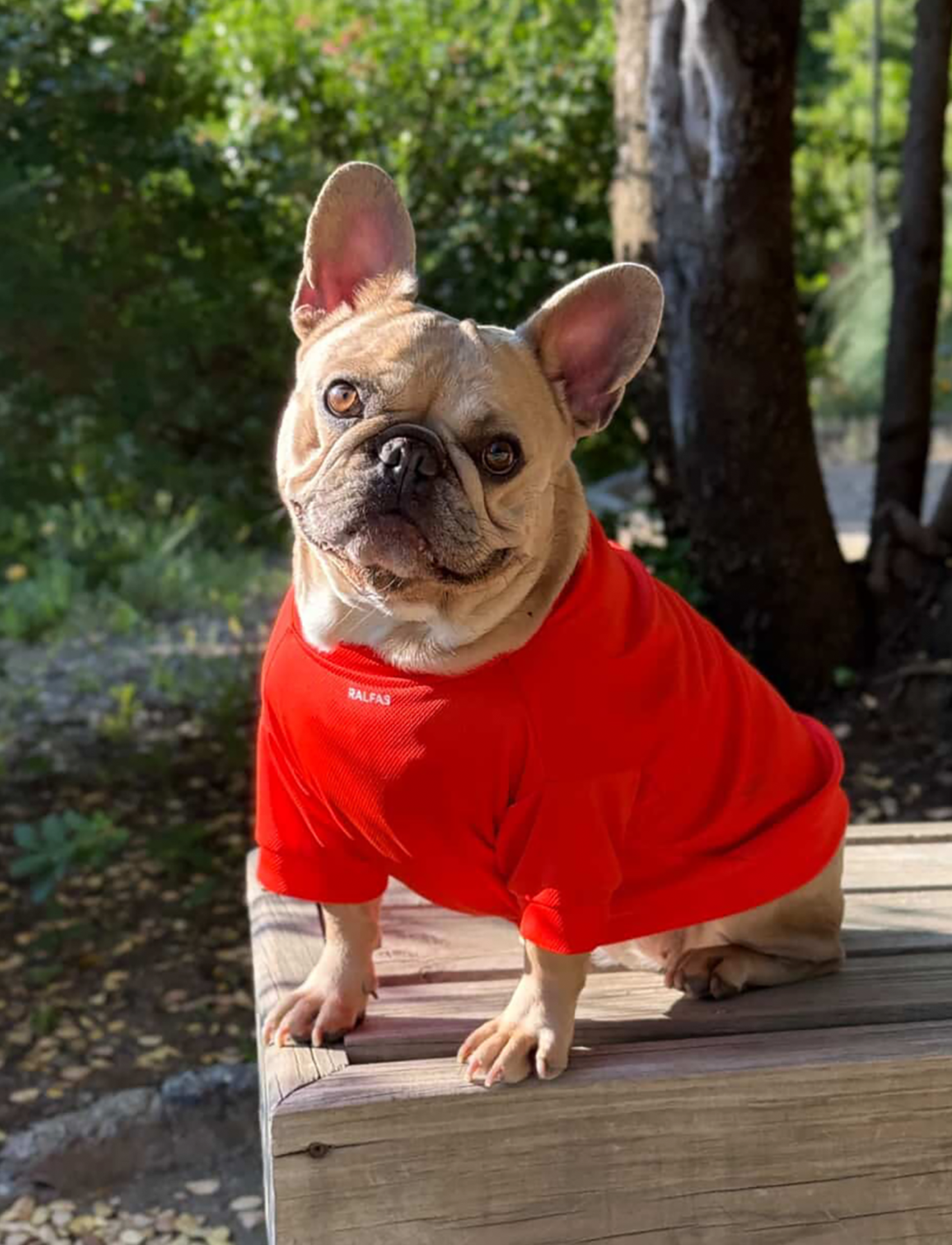 Polera Naranja | ENFRIAMIENTO