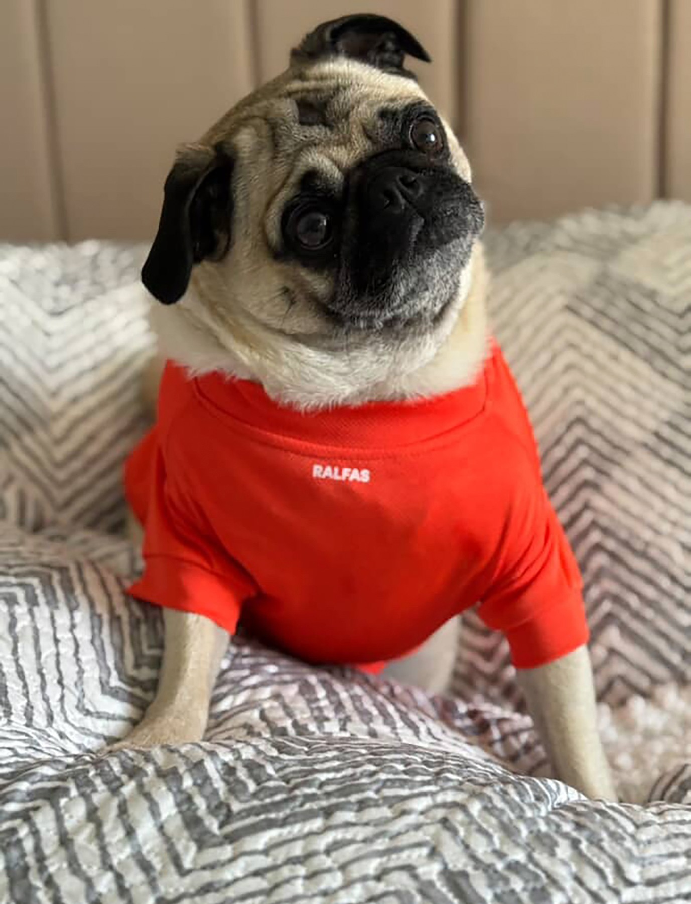 Polera Naranja | ENFRIAMIENTO