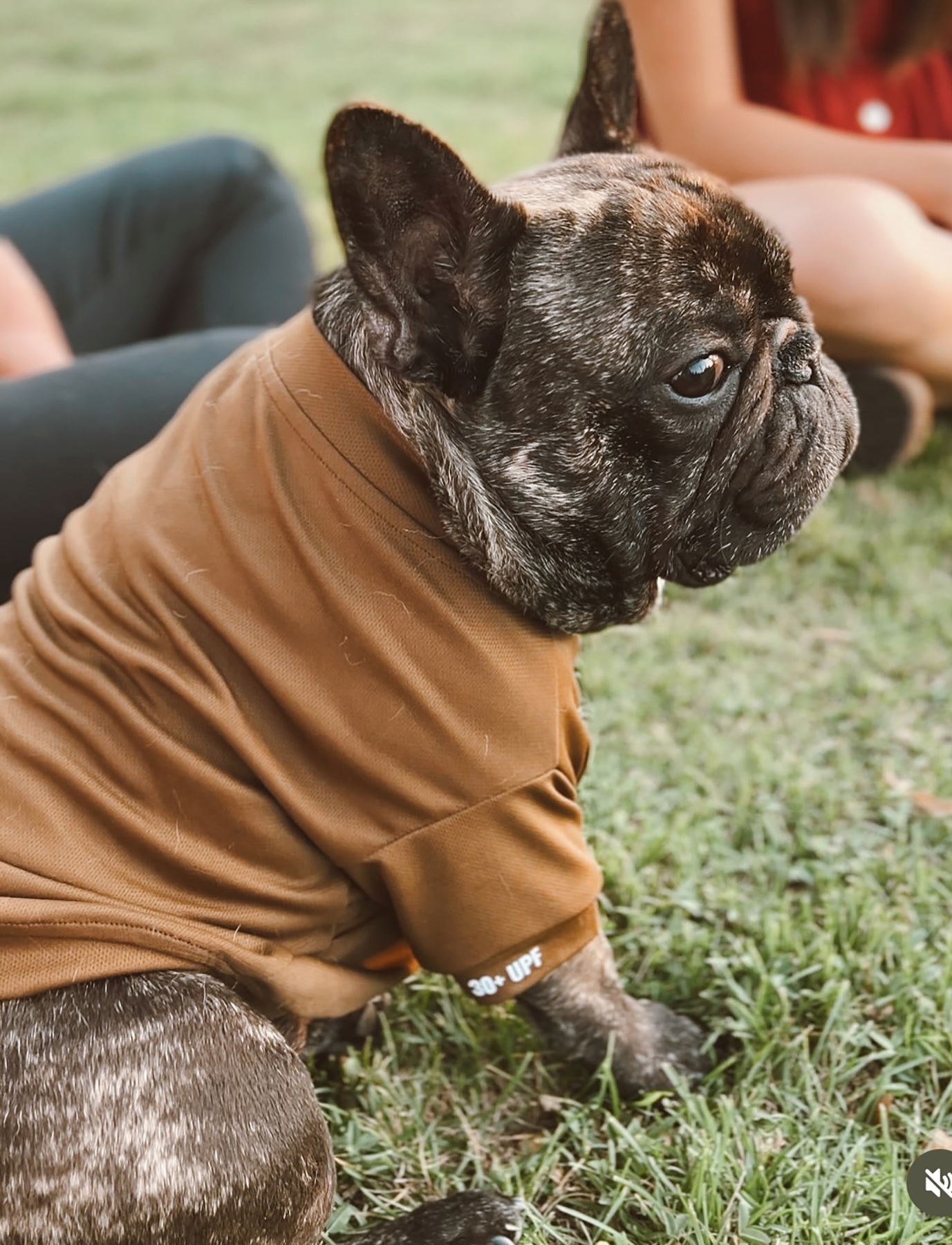 Polera Café | Quickdry®