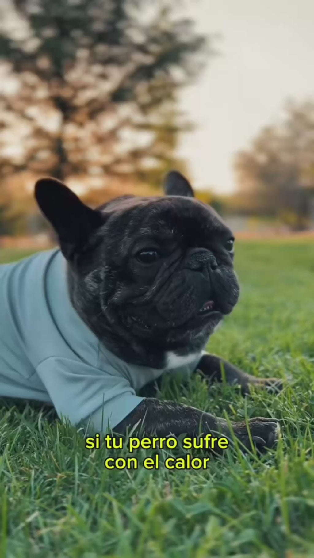 Polera Fucsia | Quickdry®