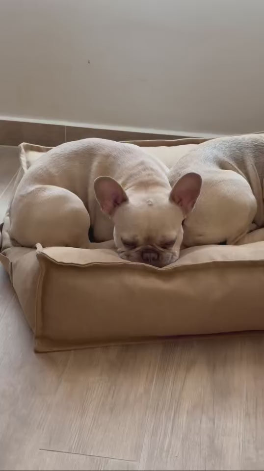 Cama funda desmontable Canela